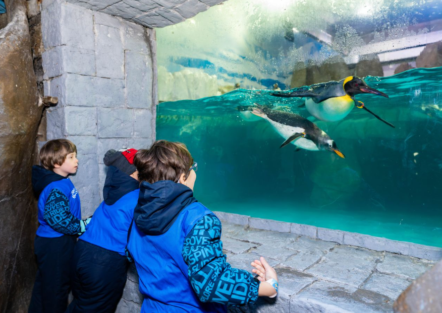 Make This Autumn SNOW Much More Fun: Autumn Camps Return to Ski Dubai and Snow Abu Dhabi